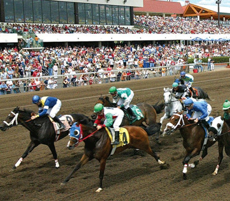 Canterbury Park Card Room Visit Inver Grove Heights