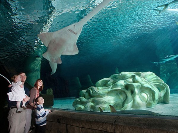 SeaLife Aquarium Mall of America