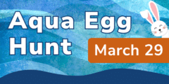 aqua egg hunt 2026